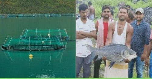 खाली पड़ी थी कोयला खादान, छोटे सा प्रयोग कर शुरू किया मछली पालन, अब इलाके की पहचान हैं शशिकांत