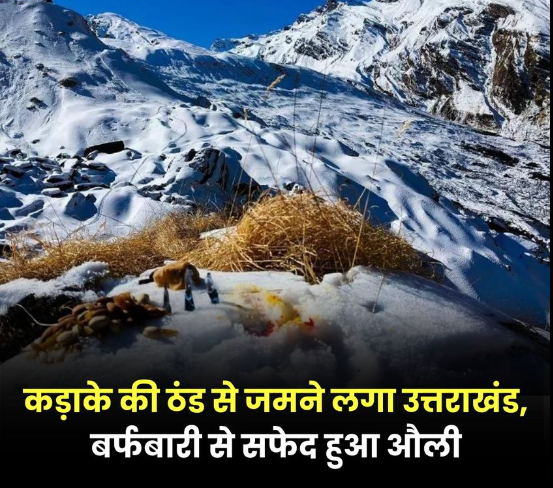 Uttarakhand Weather: कड़ाके की ठंड से जमने लगा उत्तराखंड, बर्फबारी से सफेद हुआ औली; इन जिलों में बारिश की संभावना