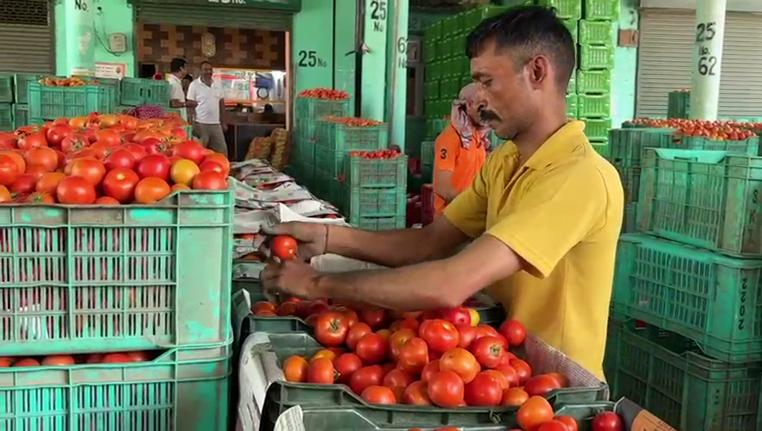 Due to extreme heat, tomatoes are not being supplied to outside states.