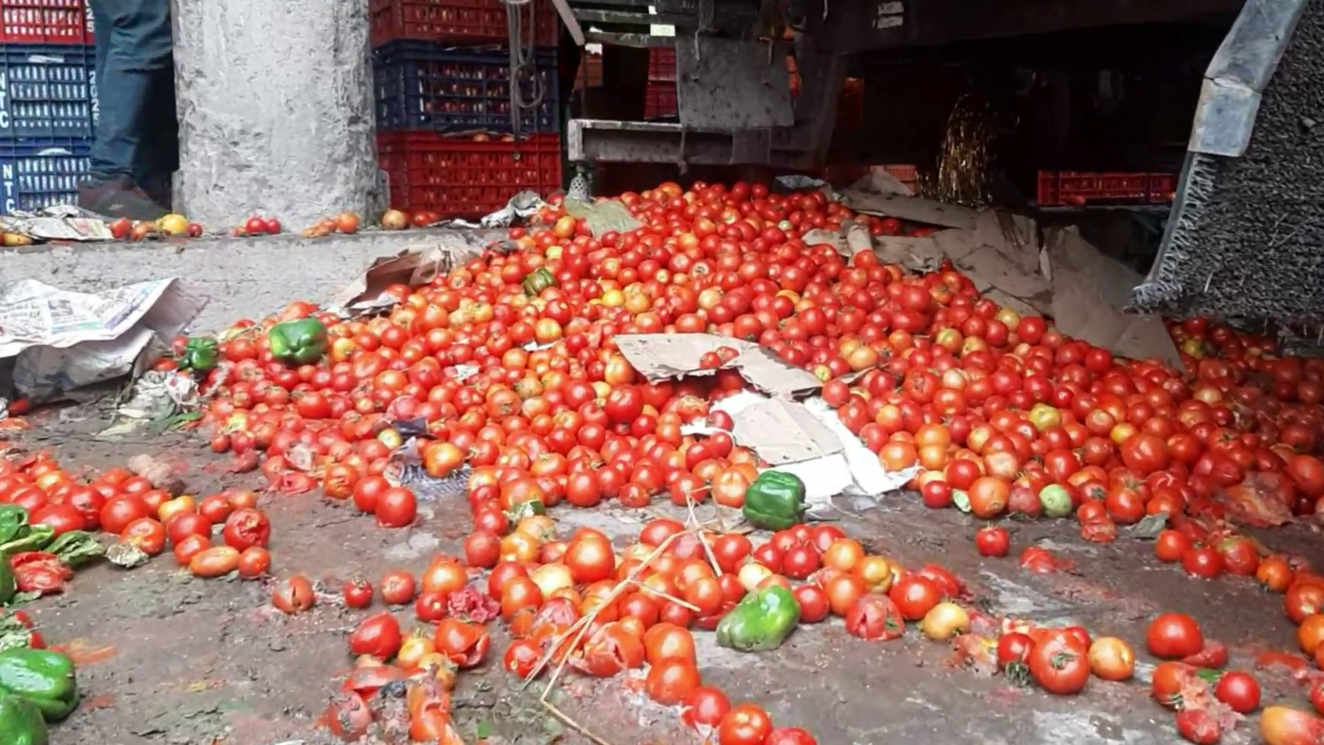 Tomatoes have fallen on the roads in Solan vegetable market