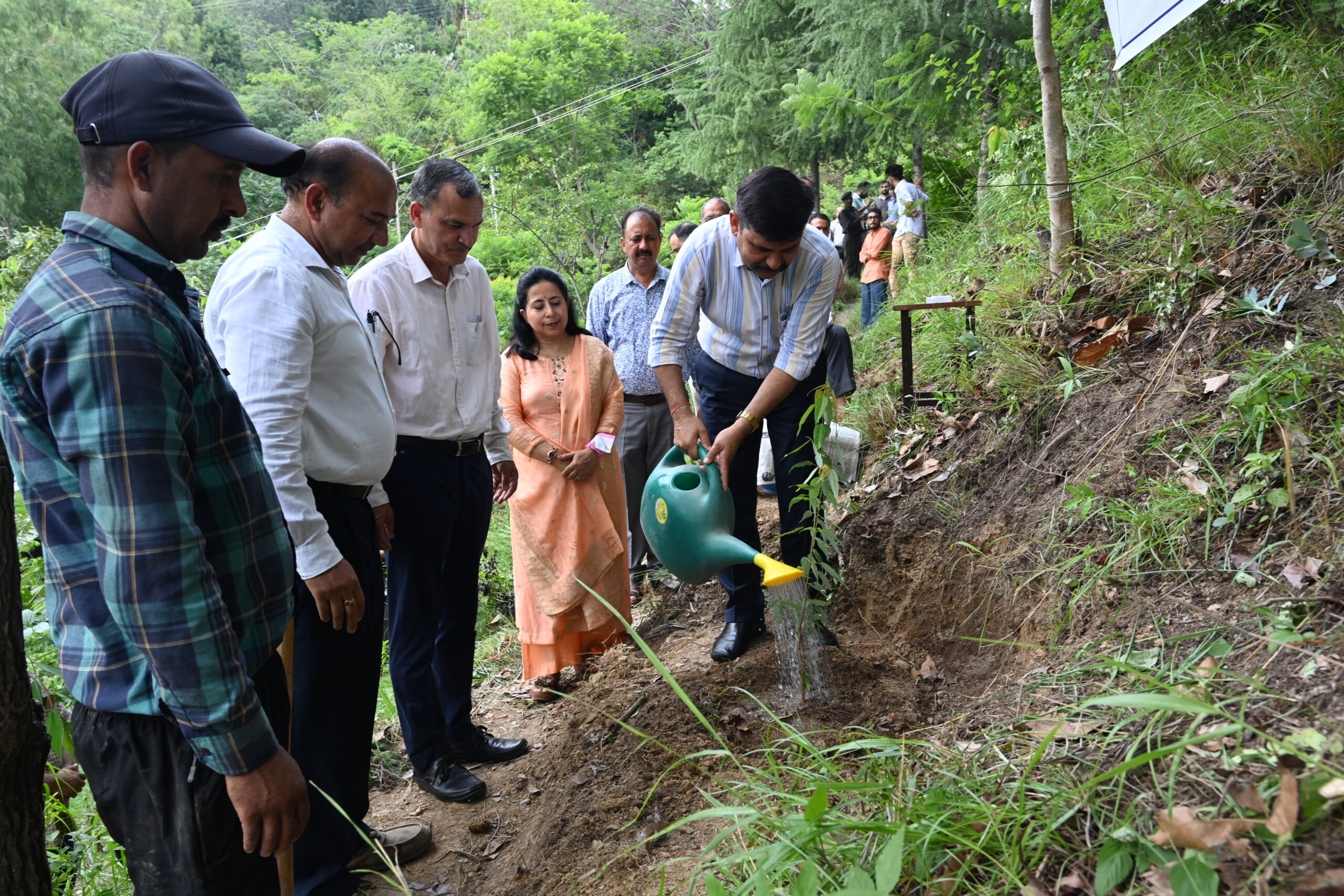 More than 1100 saplings planted in Nauni University