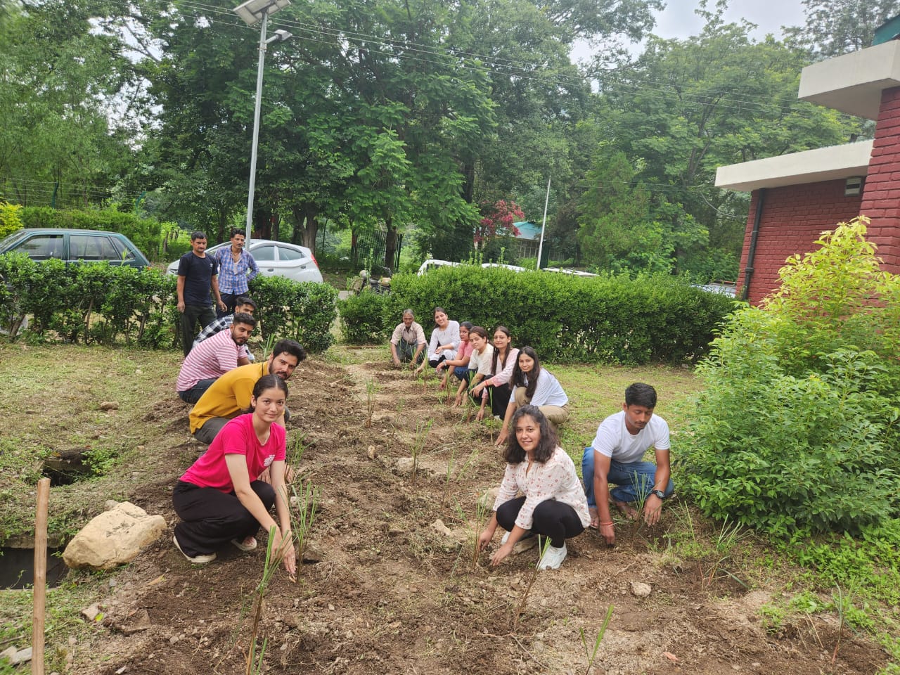 260 saplings planted during Van Mahotsav in Nauni University