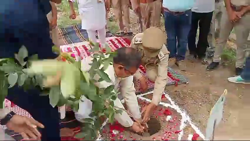 Campaign in the name of a tree mother started in Makdi Panchayat of Bilaspur