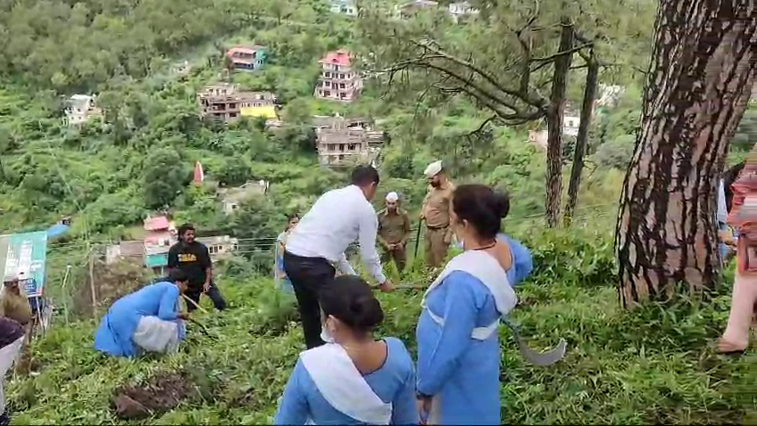 Tree plantation organized by Sant Nirankari Mission.