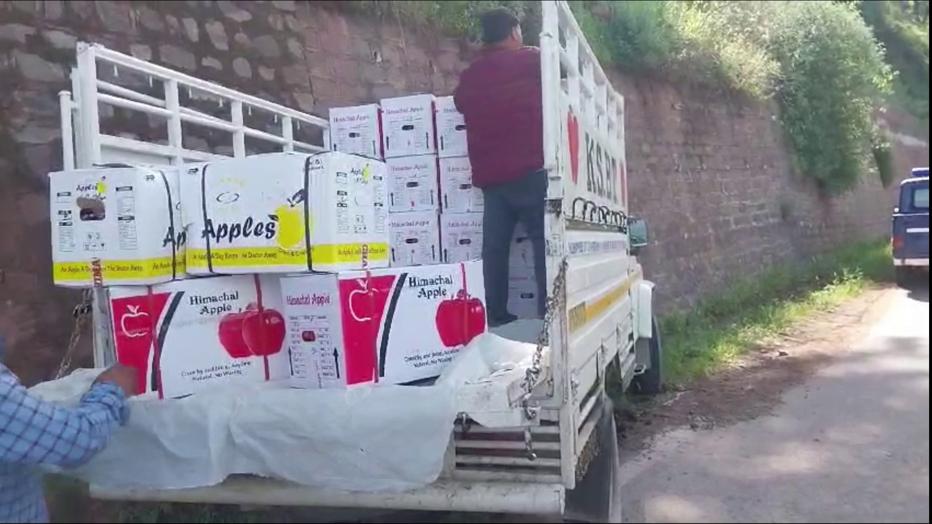 Pickup loaded with apples went out of control at the turn of the belt