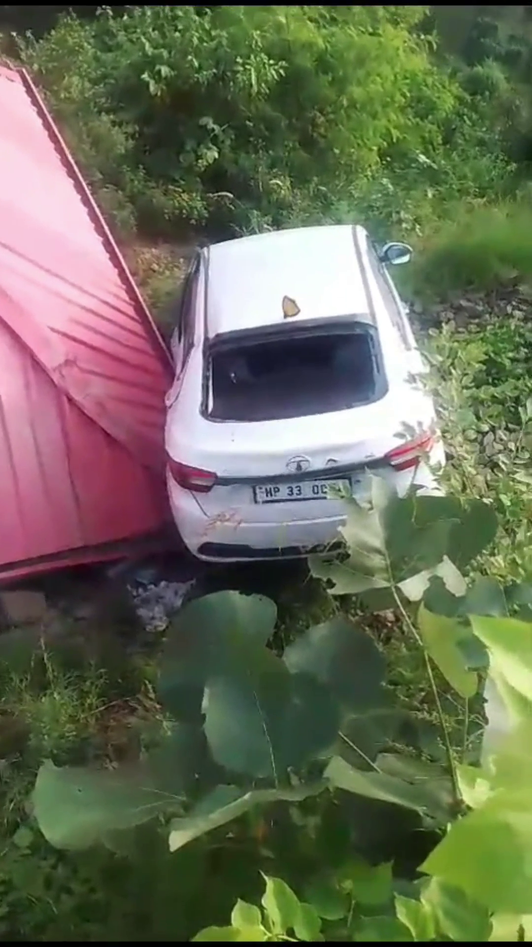 Car fell into ditch in Kasauli, driver's life miraculously saved