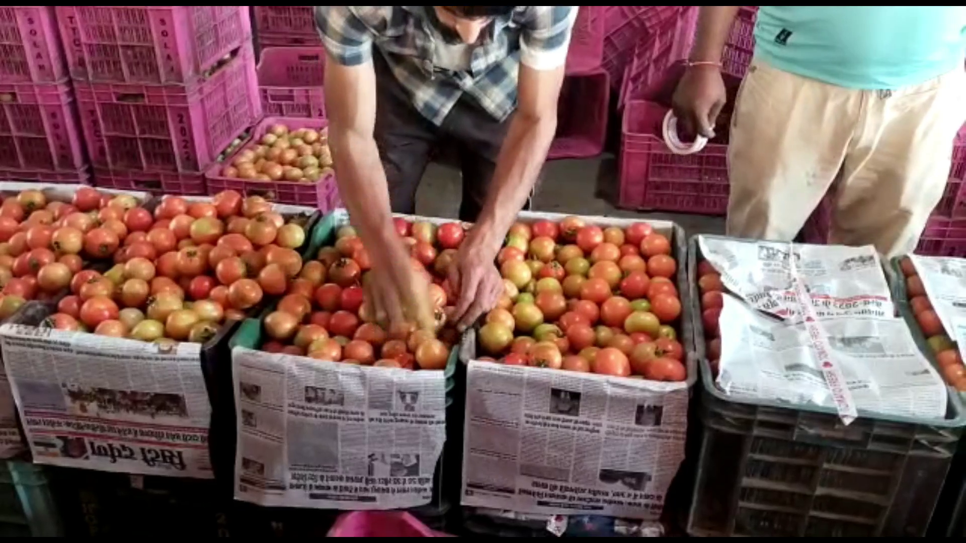 Tomato made farmers rich, now the same is expected from the next crop