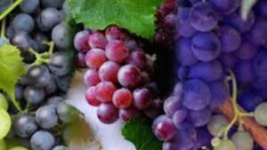  Are you also troubled by fatty liver? So include these panacea things in your diet… also do these things daily, then you will never have liver problems.