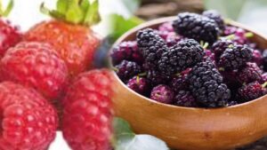  Are you also troubled by fatty liver? So include these panacea things in your diet… also do these things daily, then you will never have liver problems.