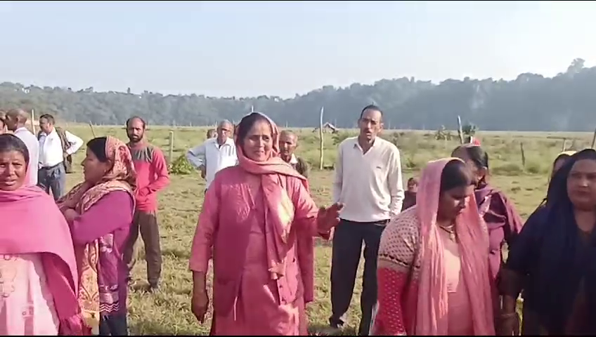 Sowing is being done in the restricted area for farming in Pong Lake.