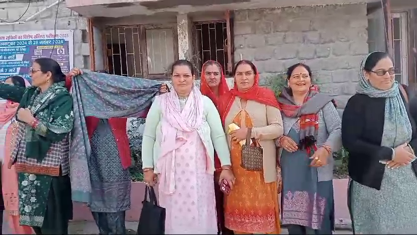 The delegation of Mahila Mandal Dhalot under District Hamirpur met DC Hamirpur.