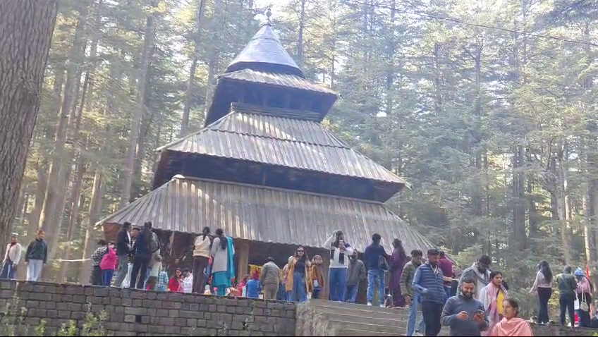 Hundreds of tourists arrived to have darshan of Maa Hadimba.