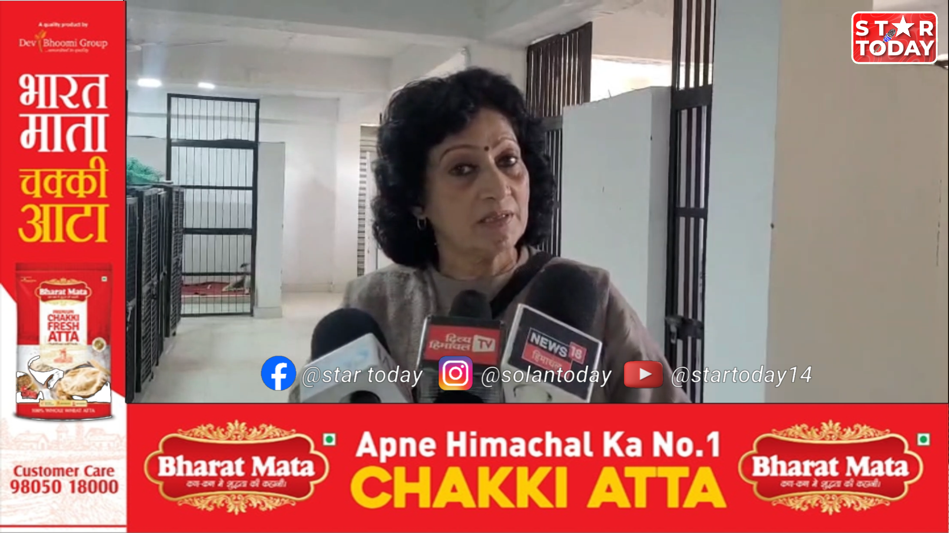 सोलन में आवारा कुत्तों की नसबंदी का महाअभियान, ‘हमारी आकांक्षा ट्रस्ट’ ने मांगा जनसहयोग