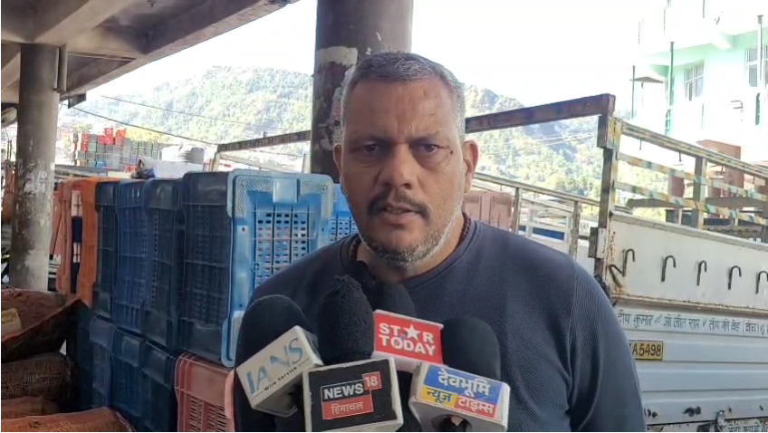 सोलन मंडी में नई-पुरानी फसलों के दामों में बड़ा अंतर